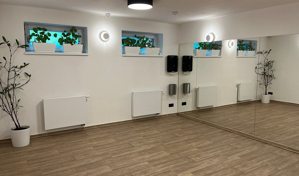 Pronájem obchodních prostor 192 m², Zubří – náhled fotky 5