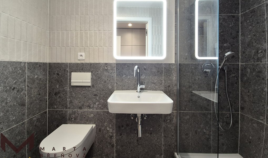 Pronájem bytu 1+kk 21 m², Brno – náhled fotky 5