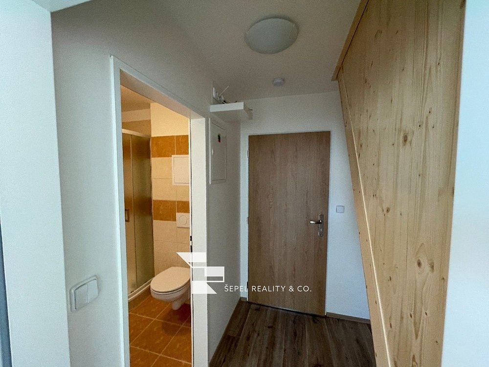 2+kk Apartment in Brno, Žlutý kopec, Veveří - More