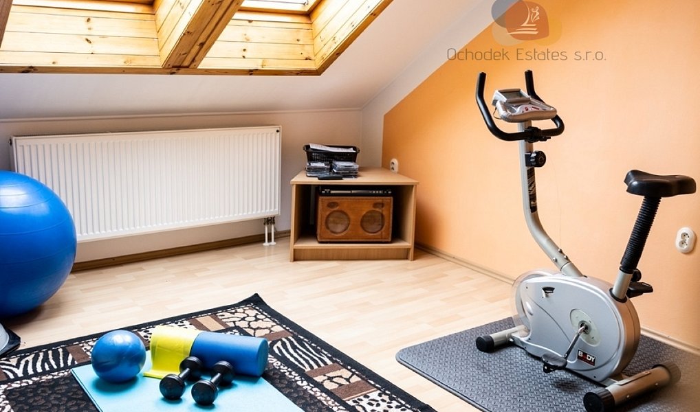 Prodej domu 265 m² s pozemkem 322 m², Litovel – náhled fotky 9