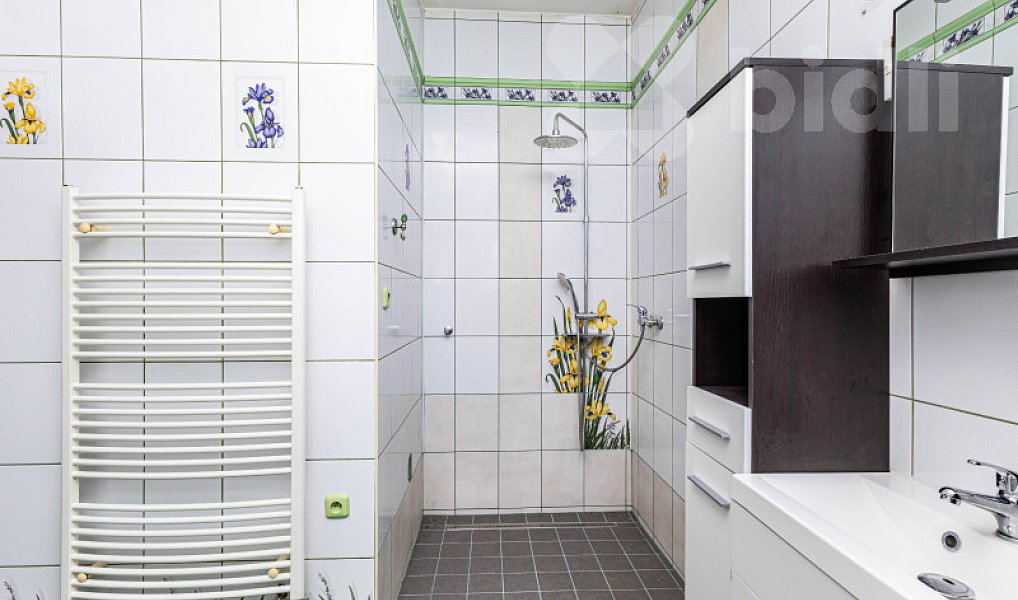Prodej komerčního objektu (jiného typu) 267 m², Praha – náhled fotky 19