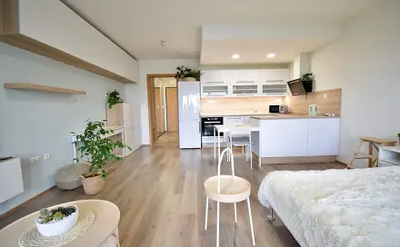 Pronájem bytu 1+kk 41 m², Slavonínská, Olomouc - Povel