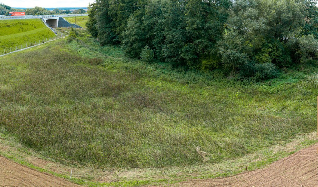Prodej pozemku 3 603 m², Krušovice – náhled fotky 4