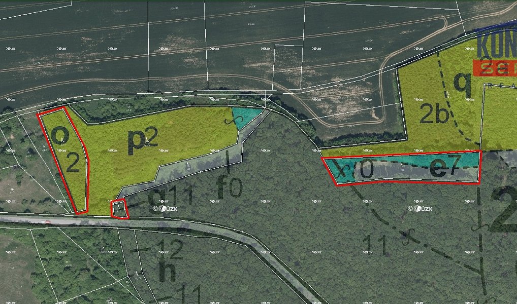 Prodej lesa 32 004 m², Bačalky – náhled fotky 7