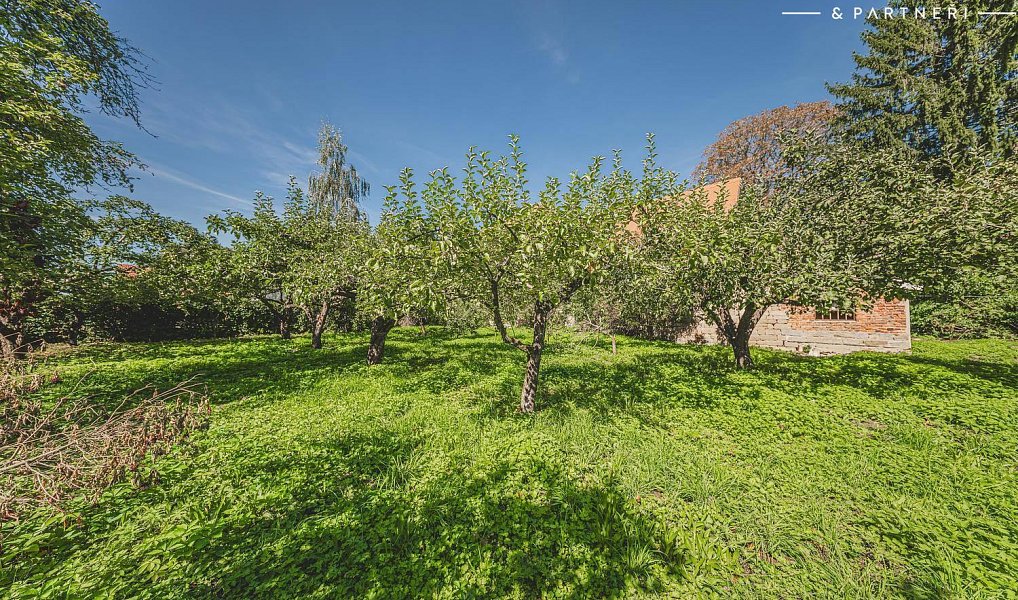 Prodej domu 300 m² s pozemkem 5 559 m², Hořice – náhled fotky 22