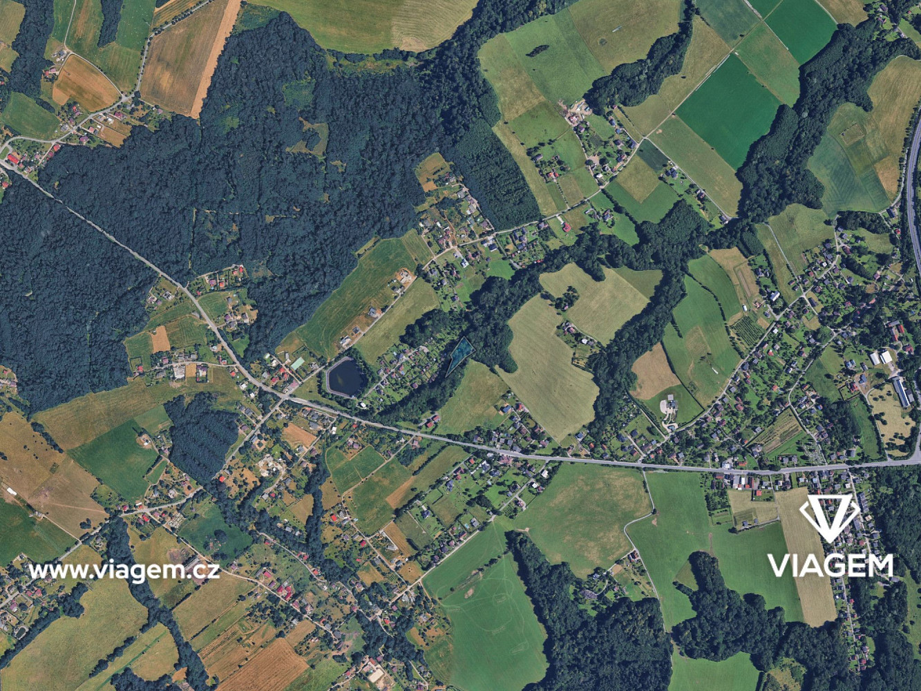 Prodej lesa 1 585 m² – fotografie 3