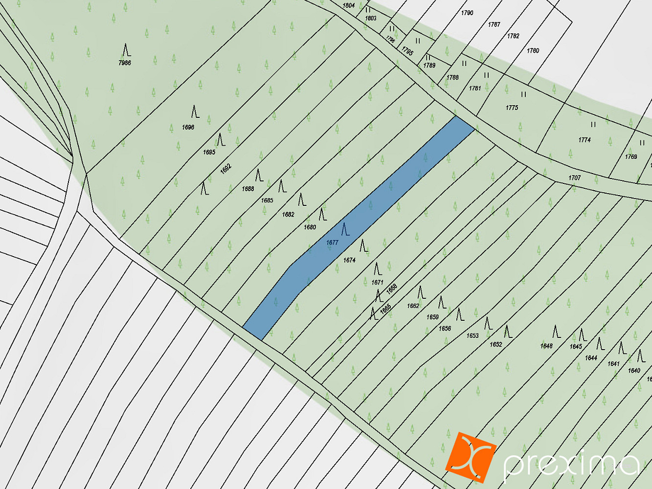 Prodej lesa 766 m² – fotografie 3