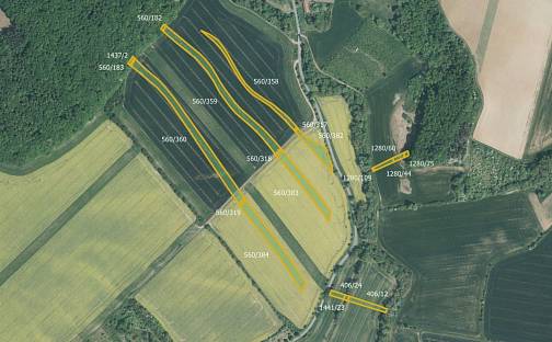Prodej pole 16 411 m², Kroměříž - Zlámanka