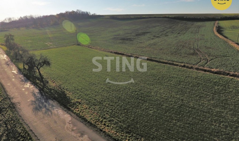 Prodej stavebního pozemku 1 167 m², Lozice – náhled fotky 4