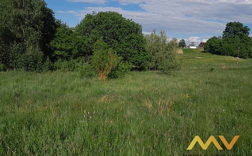 Prodej louky 5 858 m², Sylvárov, Dvůr Králové nad Labem, okres Trutnov