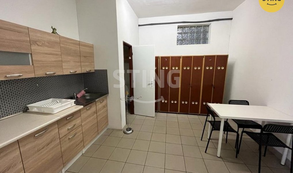 Pronájem skladovacích prostor 617 m², Šenov – náhled fotky 3