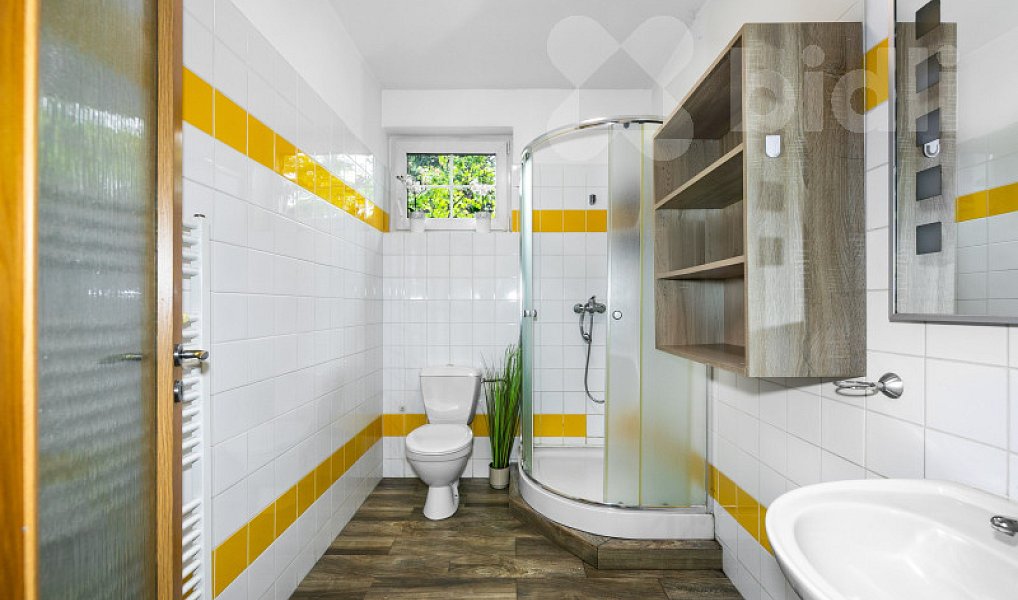 Prodej domu 233 m² s pozemkem 1 063 m², Letkov – náhled fotky 18