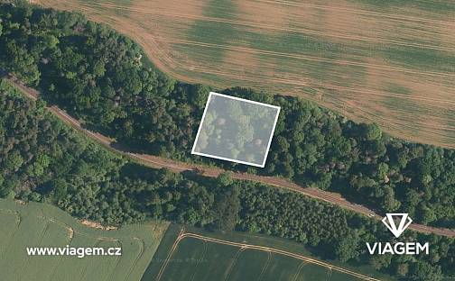 Prodej lesa 2 456 m², Katusice, okres Mladá Boleslav