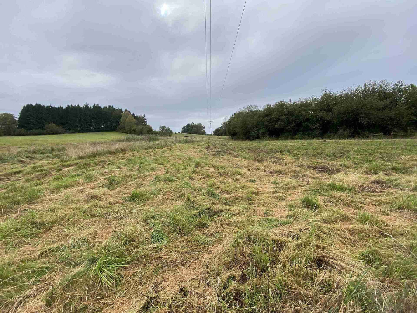 Prodej pozemku 11 798 m² – fotografie 3
