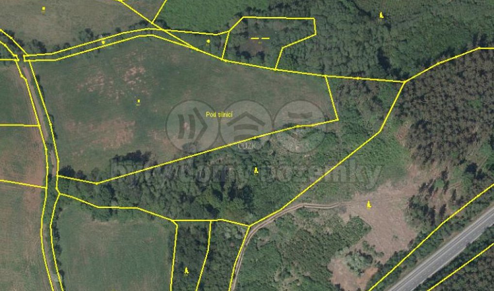 Prodej lesa 13 753 m², Úbislavice – náhled fotky 3
