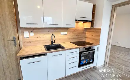 Pronájem bytu 1+1 33 m²