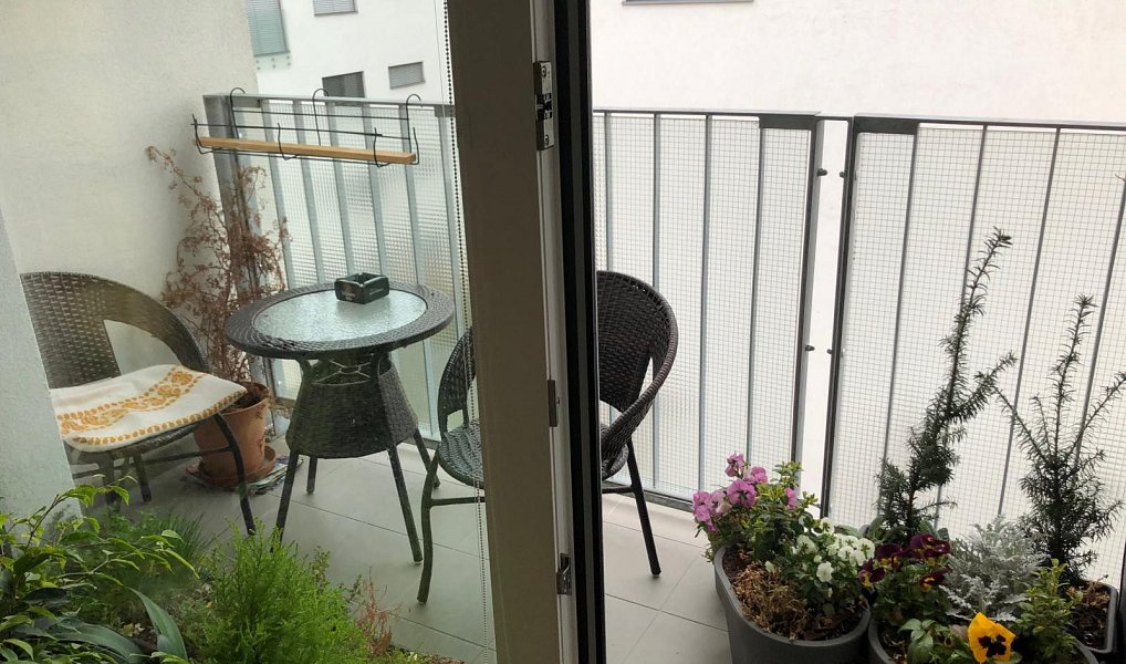 Pronájem bytu 1+kk 35 m², Olomouc – náhled fotky 6