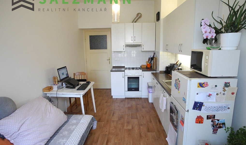 Prodej bytu 2+kk 42 m², Plzeň – náhled fotky 2