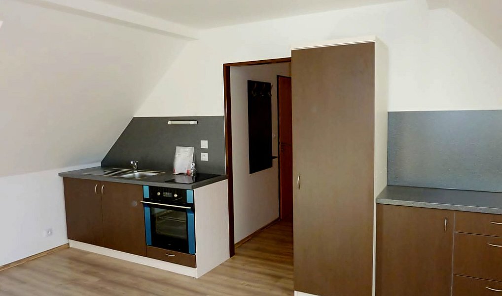 Prodej domu 300 m², Plzeň – náhled fotky 4