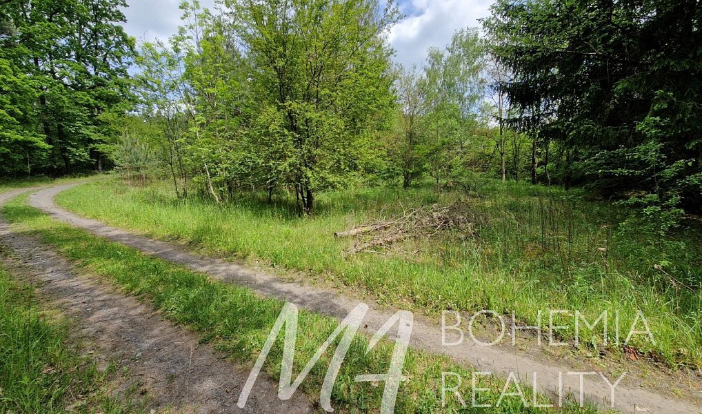 Prodej pozemku 15 564 m², Jiřice – náhled fotky 8