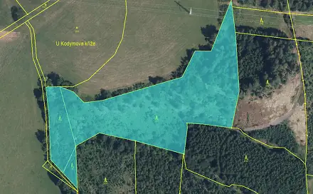 Prodej lesa 12 070 m², Bukovina u Čisté - Dražeň