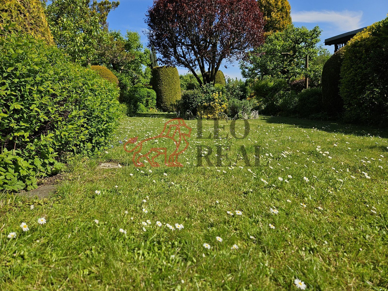 Prodej chaty/chalupy 11 m² s pozemkem 300 m² – fotografie 4