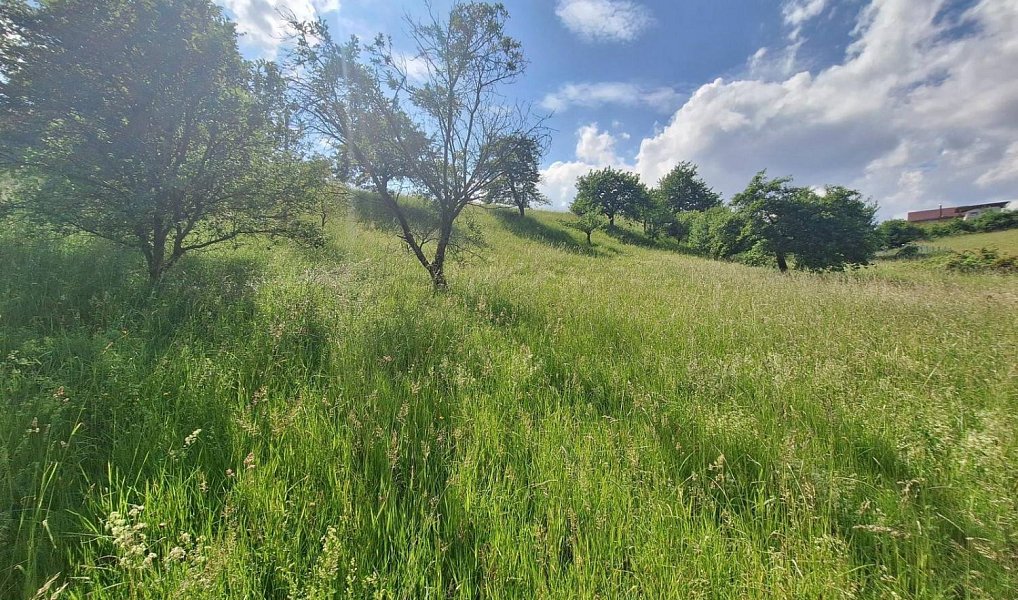 Prodej stavebního pozemku 2 318 m², Malé Svatoňovice – náhled fotky 12