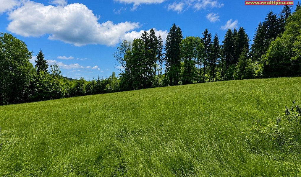 Prodej louky 7 453 m², Deštné v Orlických horách – náhled fotky 2
