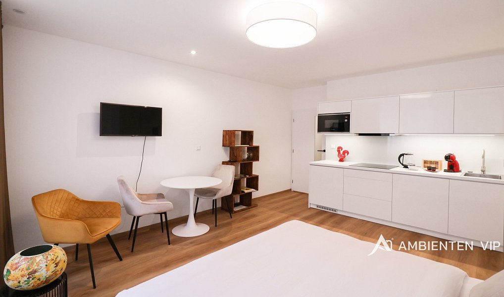 Pronájem bytu 1+kk 28 m², Brno – náhled fotky 3