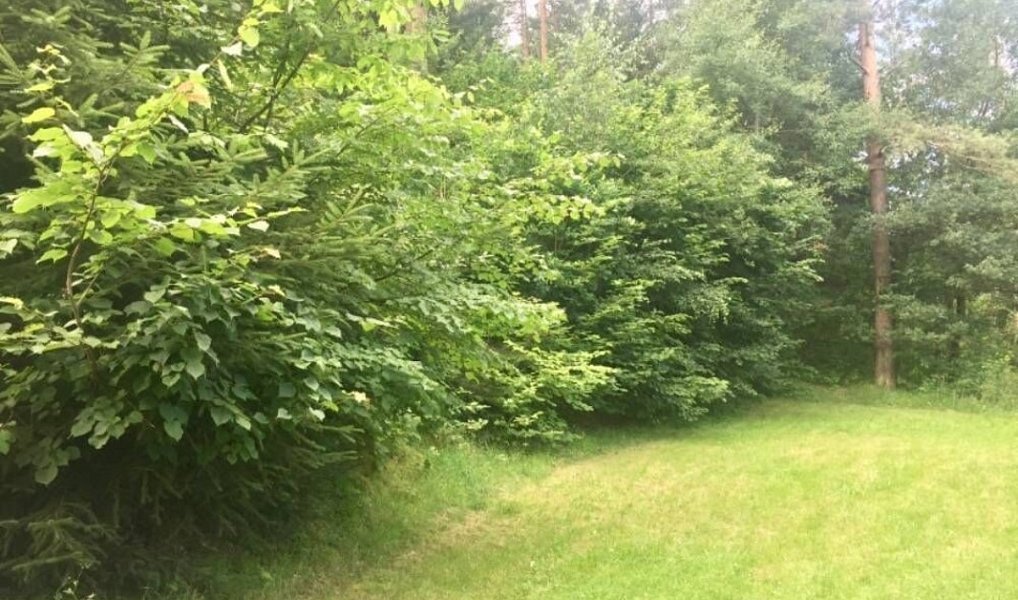 Prodej stavebního pozemku 3 004 m², Kaplice – náhled fotky 4