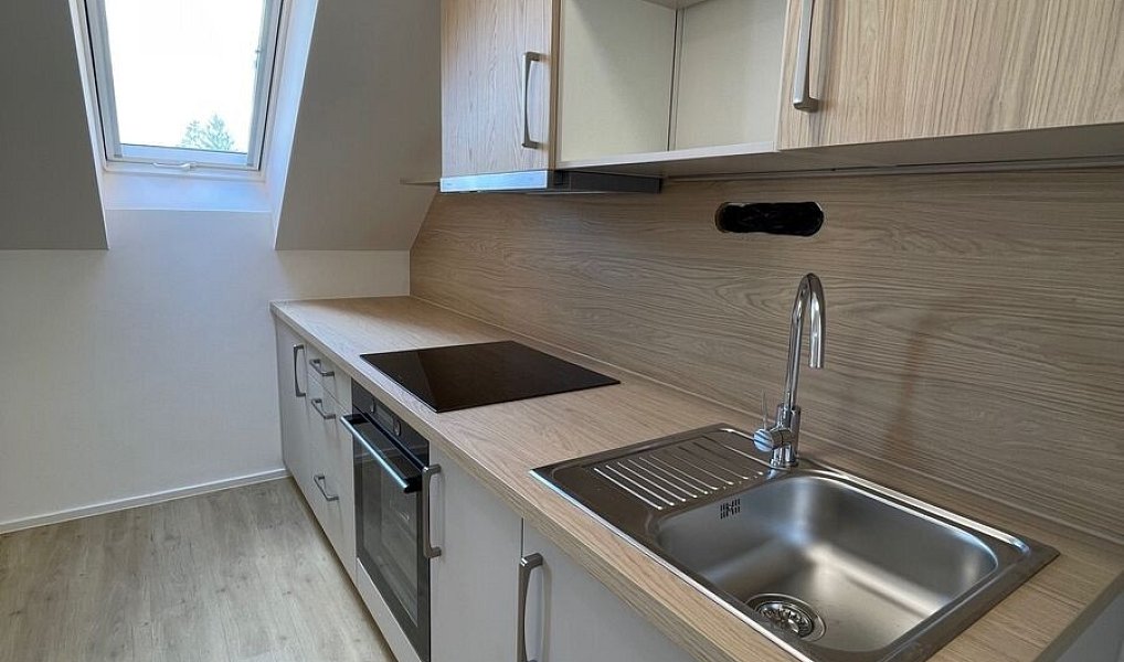 Pronájem bytu 1+kk 43 m², Uherský Brod – náhled fotky 3