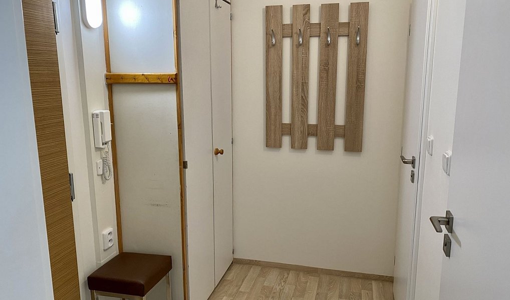 Pronájem bytu 1+1 30 m², Praha – náhled fotky 7