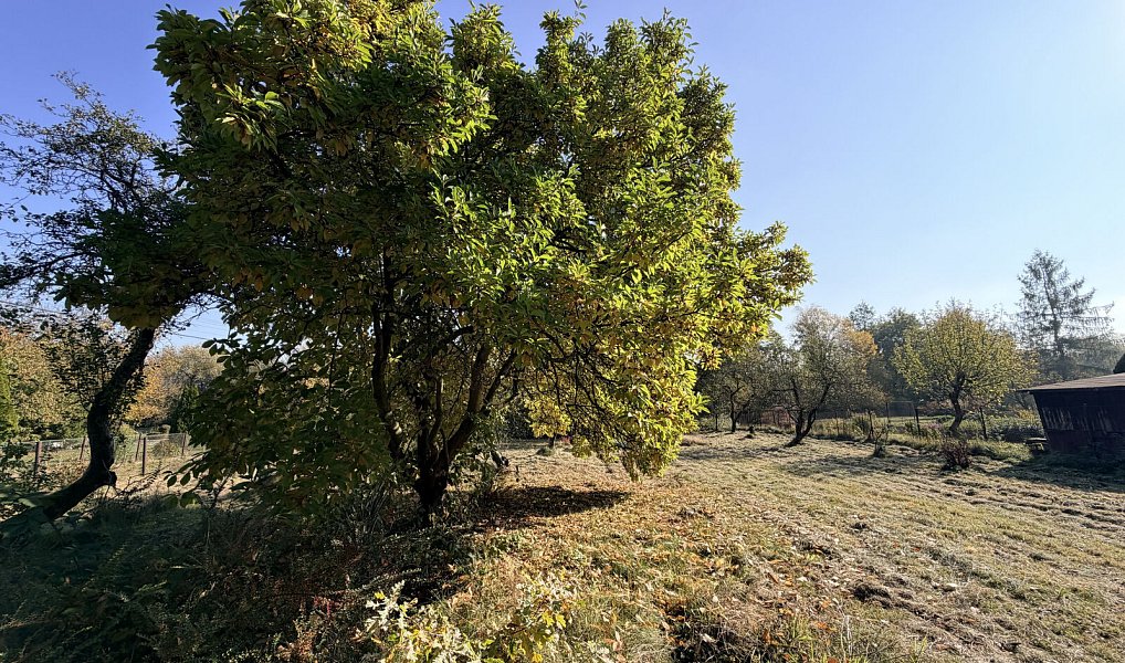 Prodej pozemku, 2026 m², Karviná, Rychvald