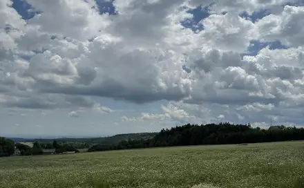 Prodej pole 864 m², Lipová - Benešov nad Ploučnicí