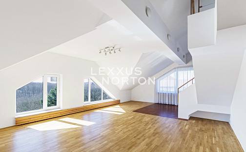 Pronájem bytu 6+kk 290 m², Psohlavců, Praha 4 - Braník