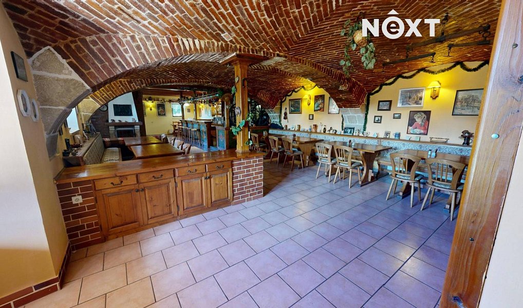 Prodej domu 574 m² s pozemkem 4 063 m², Horní Habartice – náhled fotky 10