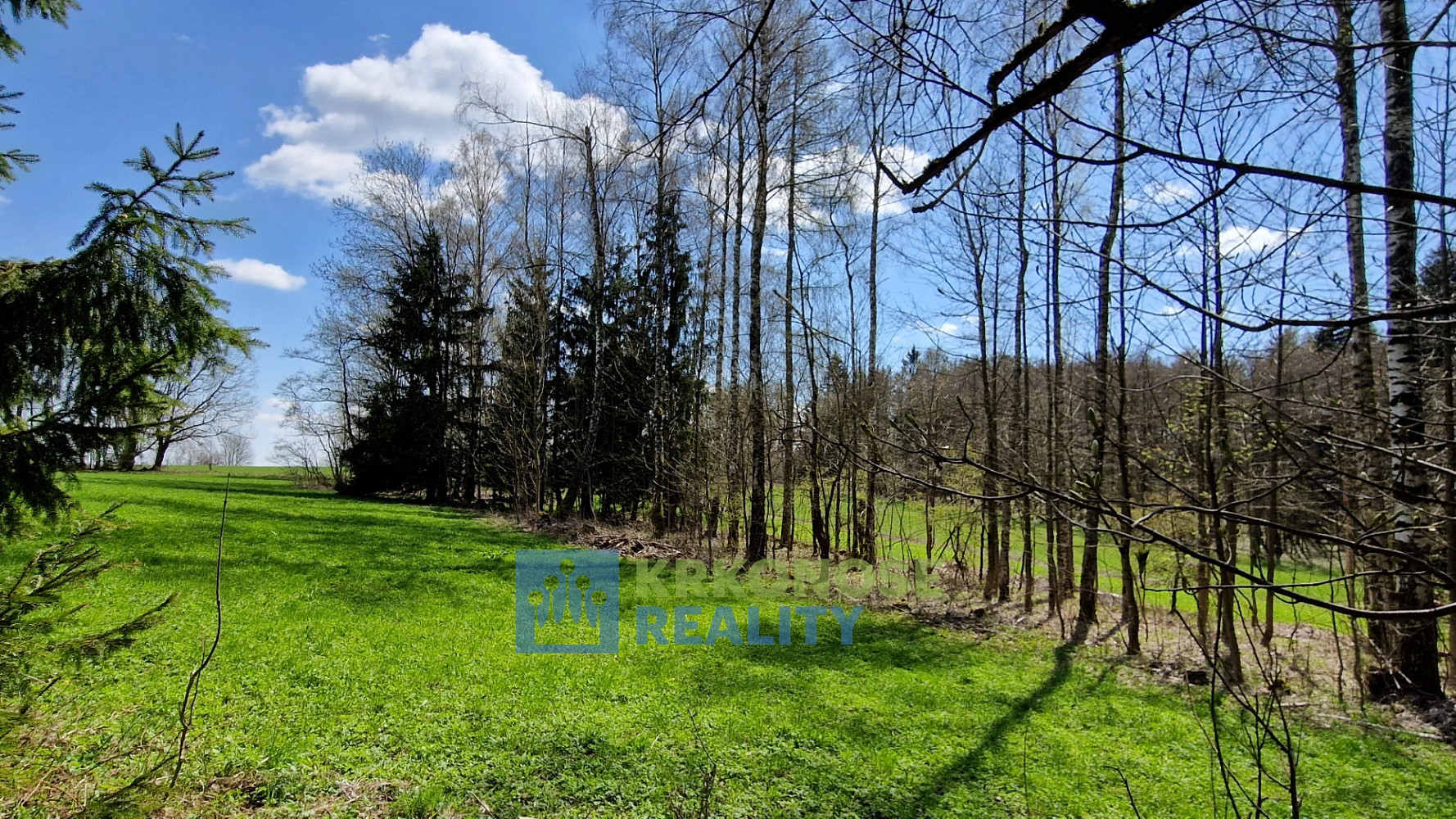 Prodej pozemku 2 788 m² – fotografie 5