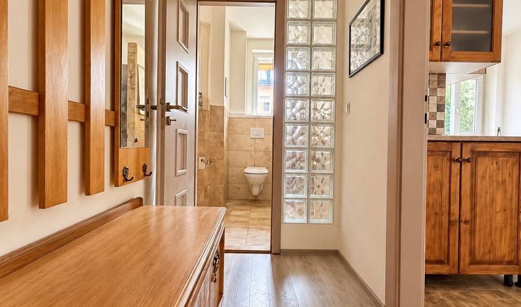 Prodej bytu 1+1 40 m², Teplice – náhled fotky 4