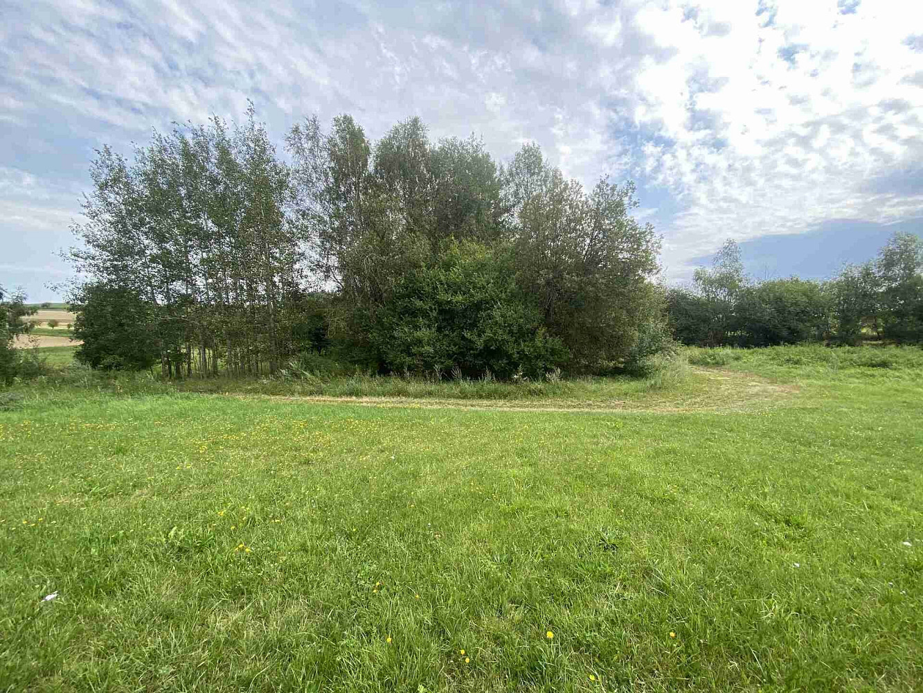 Prodej pozemku 4 446 m²