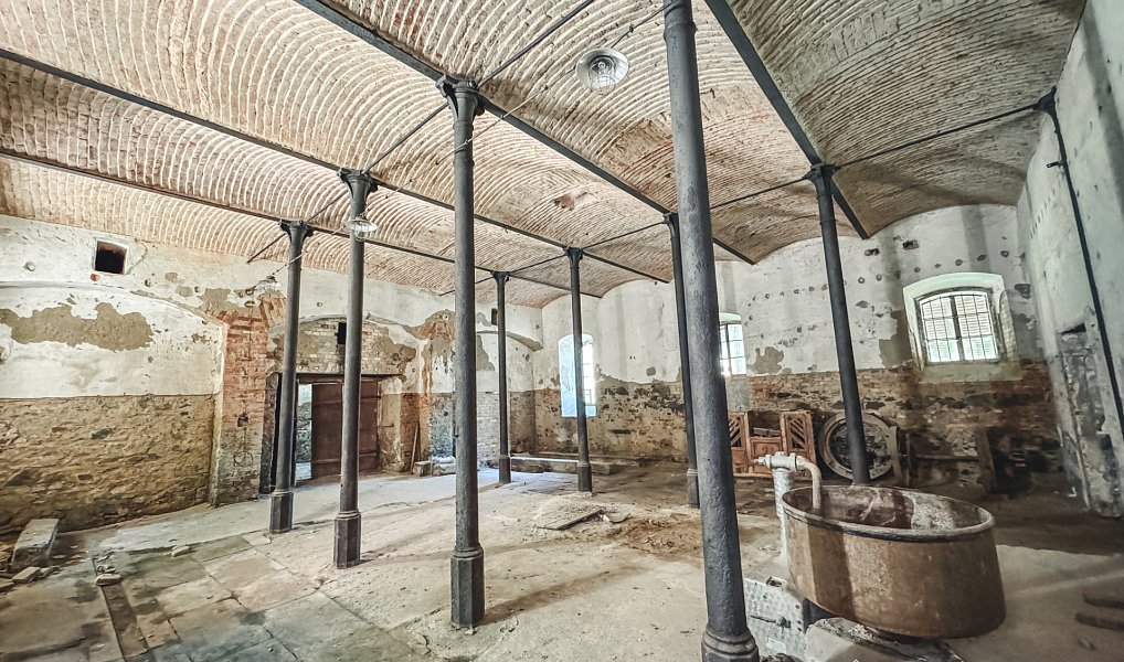 Prodej komerčního objektu (jiného typu) 10 232 m², Netolice – náhled fotky 10