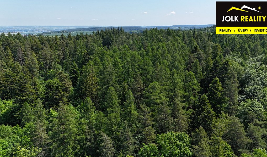 Prodej lesa 13 182 m², Vršovice – náhled fotky 14