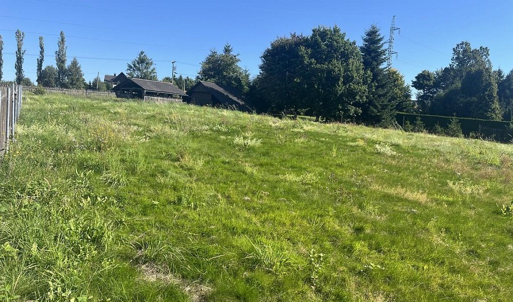 Prodej stavebního pozemku 1 506 m², Jeřmanice – náhled fotky 6