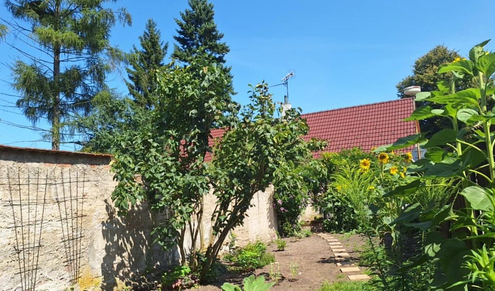 Prodej domu 170 m² s pozemkem 308 m², Třebechovice pod Orebem – náhled fotky 12