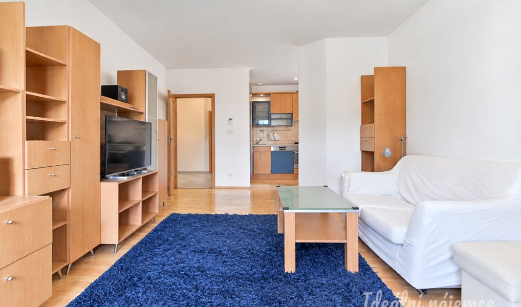 Pronájem bytu 3+kk 88 m², Brno – náhled fotky 4