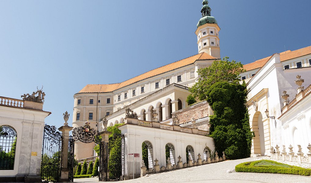 Prodej ubytovacího objektu 820 m², Mikulov – náhled fotky 23