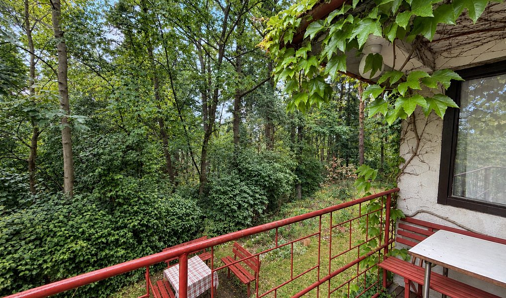 Prodej chaty/chalupy 45 m² s pozemkem 474 m², Mšecké Žehrovice – náhled fotky 6