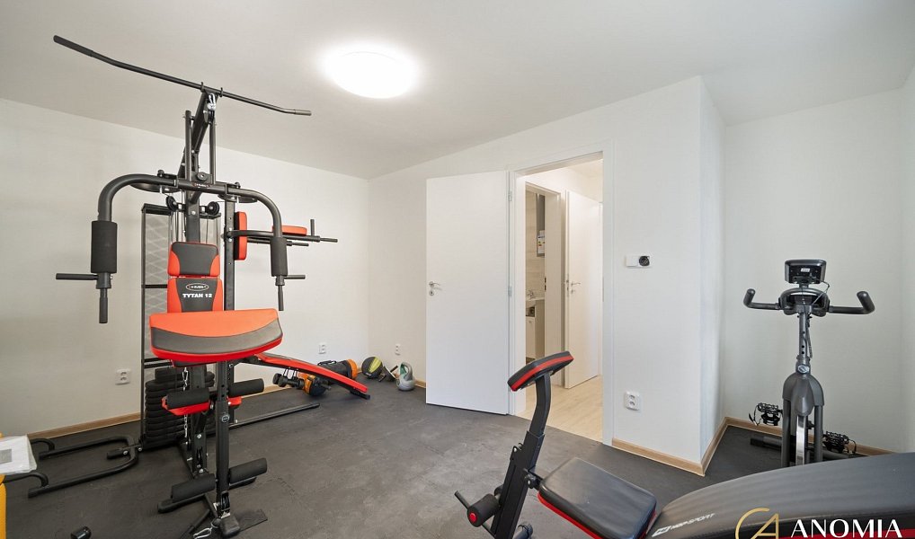 Prodej bytu 3+kk 95 m², Trhová Kamenice – náhled fotky 17