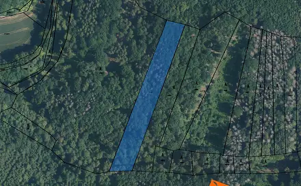 Prodej lesa 1 541 m², Svinošice, okres Blansko