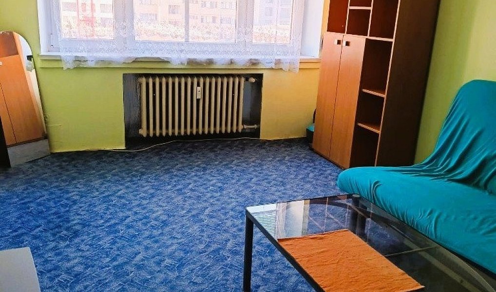 Pronájem bytu 1+kk, 28 m², Veveří - Brno-město, Brno
