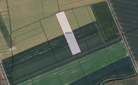Prodej pole 15 393 m², Velký Týnec, okres Olomouc